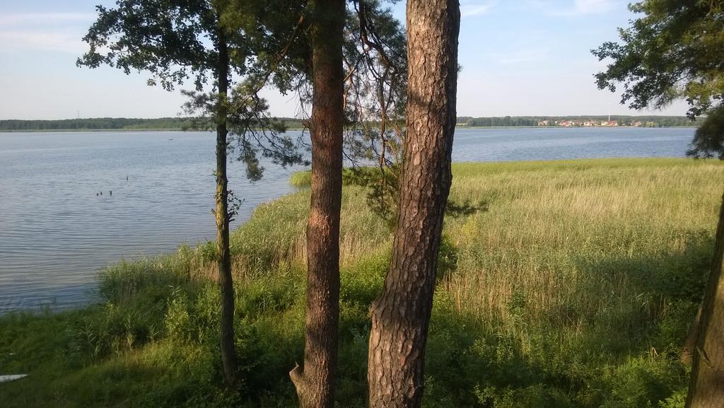 Apartament Sloneczna Radzyn Экстерьер фото